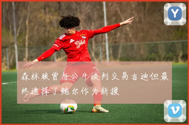 森林狼曾与公牛谈判交易吉迪但最终选择了鲍尔作为新援